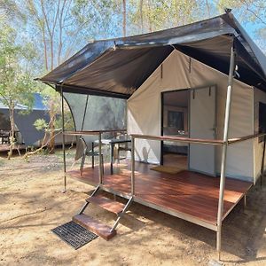 Eco Safari Tent – Sleep 4